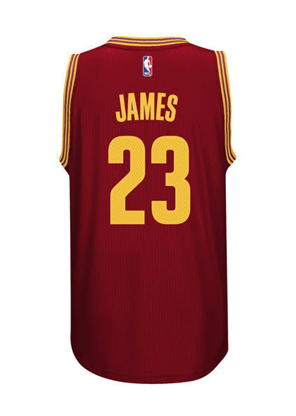 Adidas INT Swingman NBA Cleveland Cavaliers CAVS Jersey JAMES #23