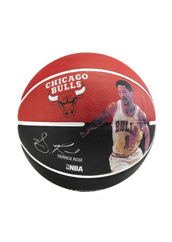 derrick rose signed basketball